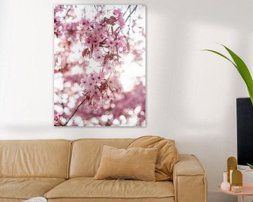 Japanese Cherry Blossom by Martijn Wit