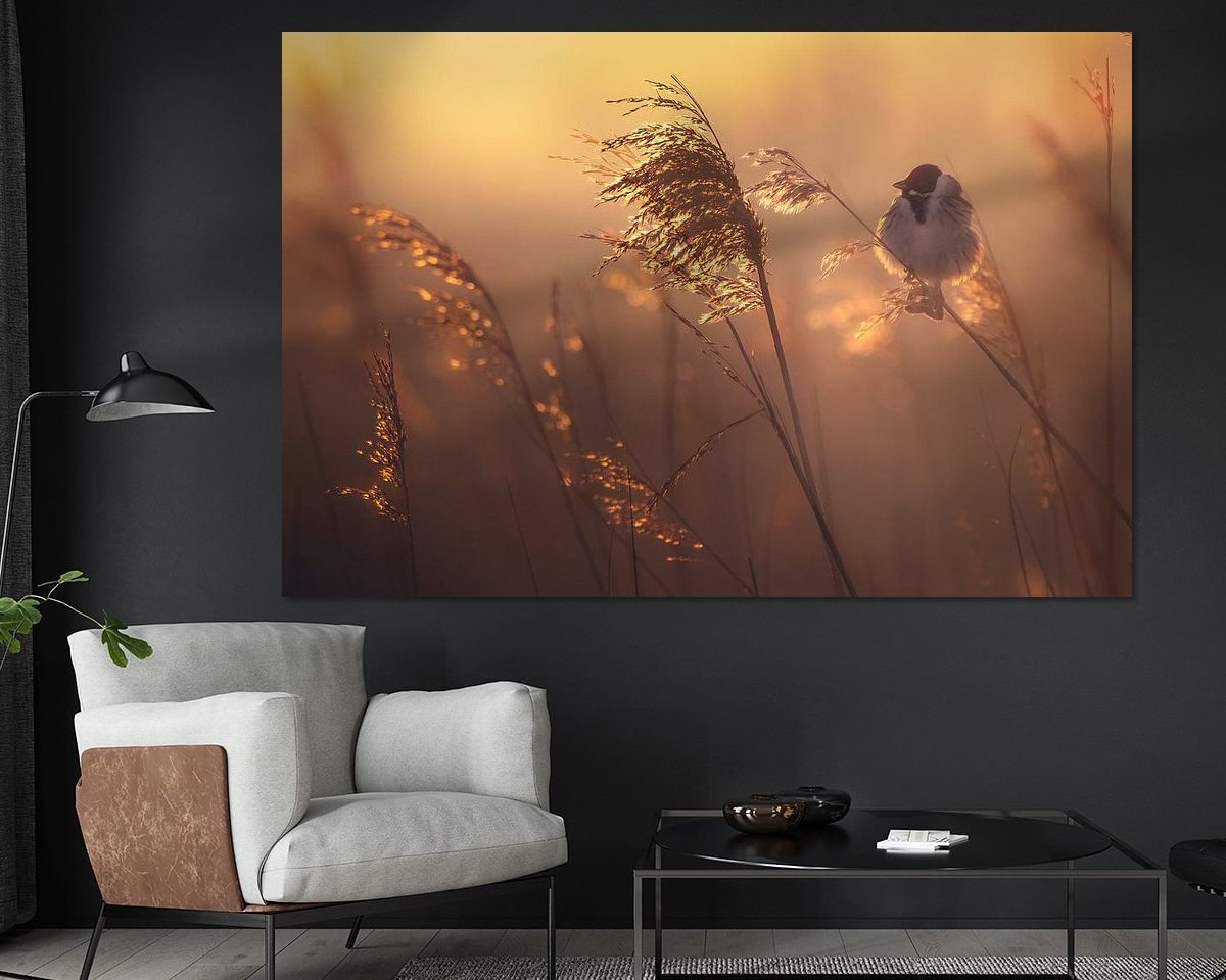 Voorbeeld van het werk in een kamer