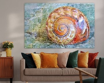 Gros plan sur une coquille d'escargot de mer mixed media sur Werner Lehmann