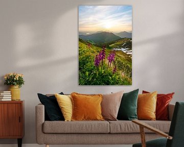 Flowery view over the Allgäu Alps by Leo Schindzielorz
