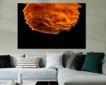 Orangefarbene Blume als Kronleuchter