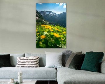 Blumiger Blick im Kleinwalsertal von Leo Schindzielorz