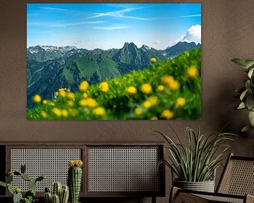 Troll flowers in the Allgäu Alps with view of the Höfats by Leo Schindzielorz