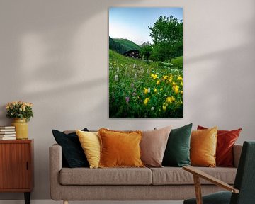 Blumenwiese mit uriger Allgäuer Berghütte von Leo Schindzielorz