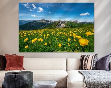 Troll flower meadow above the Tannheimer mountains by Leo Schindzielorz