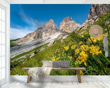 Sassolungo mountains with flowers by Leo Schindzielorz