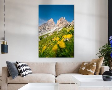 Sassolungo mountains with flowers by Leo Schindzielorz