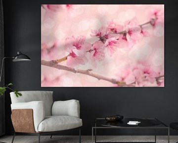 Schoonheid van de roze Sakura, kersenbloesem van Caroline Drijber