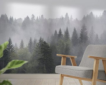 Mountains with conifers in the fog by Bianca de Haan