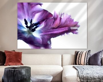 Tulipe violette avec une touche d'abstraction sur Bianca de Haan