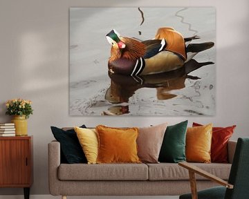 Tangerine Duck by Christel Loman