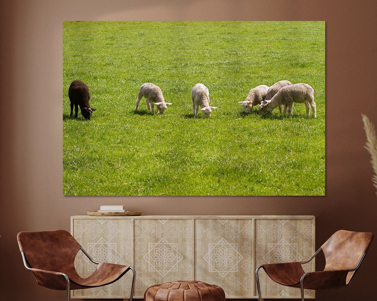 Voorbeeld van het werk in een kamer