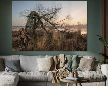 Gebrochener Baum bei Sonnenaufgang über dem Moor 2.0 von Michel Seelen