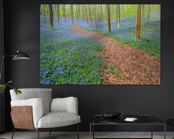 Blauglockenwald im Frühling von Sjoerd van der Wal Fotografie