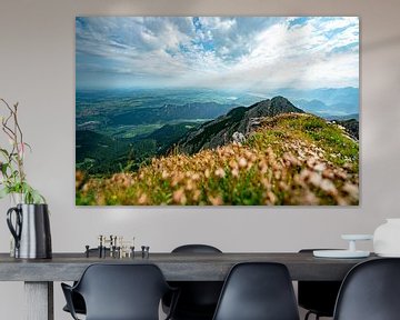 Puschelbloemen boven de Ostallgäu en zijn meren van Leo Schindzielorz