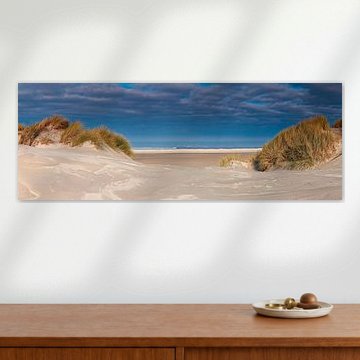 Panorama der Dünen und des Strandes von Terschelling von Anton de Zeeuw