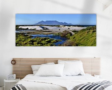 Sand dunes and Table Mountain in the background by Werner Lehmann