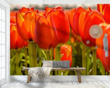 Tulips standing tall van Yvon van der Wijk