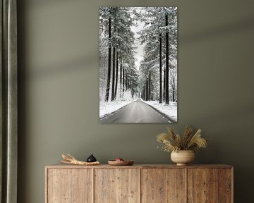 Speulderbos, Gelderland, Arbres, Hiver, Nature. sur Robinotof