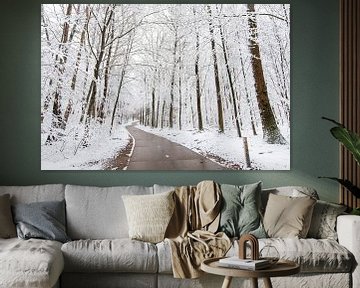 Speulderbos, Gelderland, Bomen, winter, Natuur.