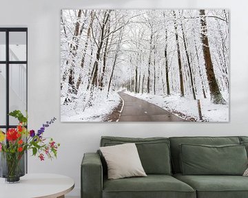 Speulderbos, Gelderland, Bomen, winter, Natuur. van Robinotof