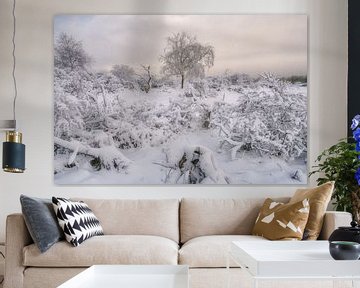 Sneeuw ligt op de struiken en de bomen in de duinen van in zuid hollan van Jolanda Aalbers