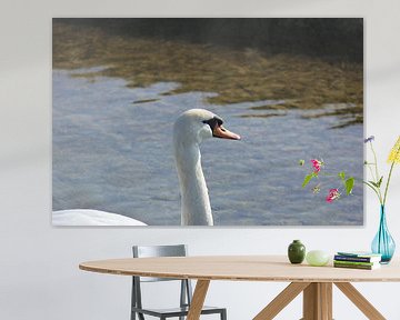 Swans Lake by Mandy Van den Ende