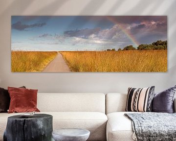 Regenbogen-Panorama Hohe Veluwe von Anton de Zeeuw