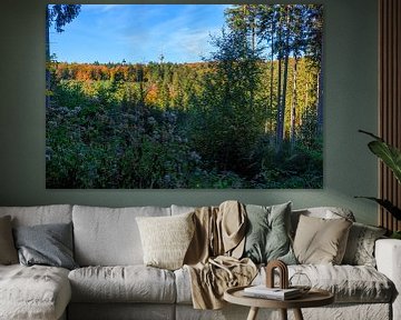 de televisietoren torent boven de Deister uit van Horst Husheer