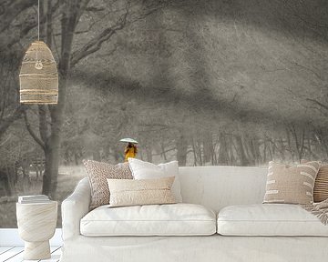 Morning walk in the forest