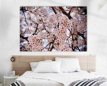 Cherry blossom branches in full bloom by marlika art