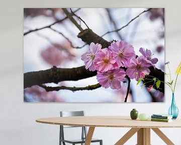 Charming cherry blossoms on a branch by marlika art