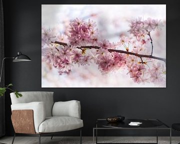 Fleurs de cerisier japonaises en pleine lumière sur marlika art