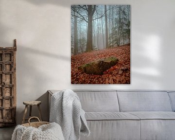 Ambiance brumeuse matinale dans la forêt sur Horst Husheer