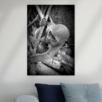 Nekane black and white