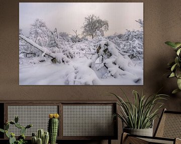 Paysage d'hiver dans les dunes d'approvisionnement en eau d'Amsterdam sur Jolanda Aalbers