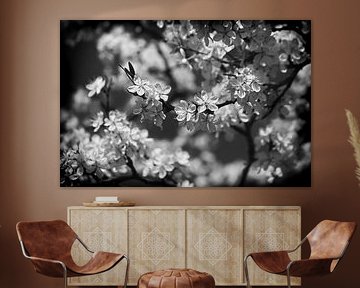 Magie de fleurs blanches noir blanc sur Marlika Art