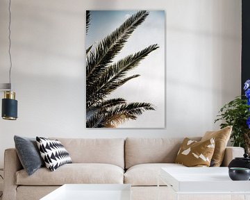 Palmen en zonlicht van Anouk Reijman Hinze