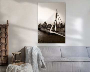 Pont Erasmus Rotterdam sur Lens Design Studio