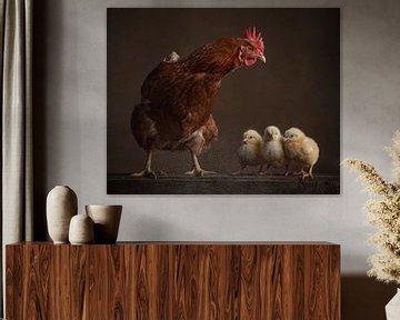 Mère poule sur Elles Rijsdijk