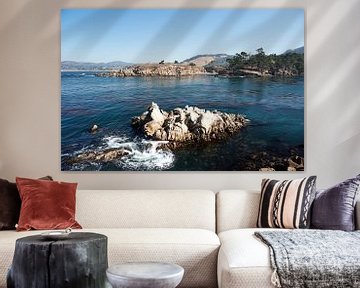 Point Lobos State Natural Reserve by Marianne Kiefer PHOTOGRAPHY