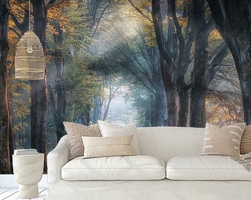 Boslaan in de herfst van Awesome Wonder