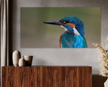 Kingfisher - Portrait in panorama by Kingfisher.photo - Corné van Oosterhout