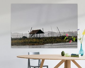 Floating Gardens, Inle Lake by Marianne Kiefer PHOTOGRAPHY