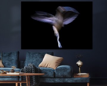 Kolibri-Tanz 2 von Andius Teijgeler