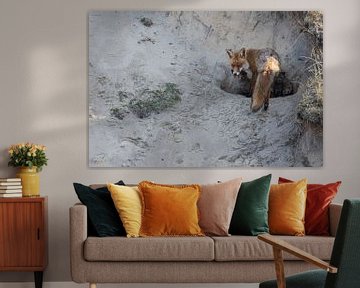 Fox and Cubs 2 by Andius Teijgeler