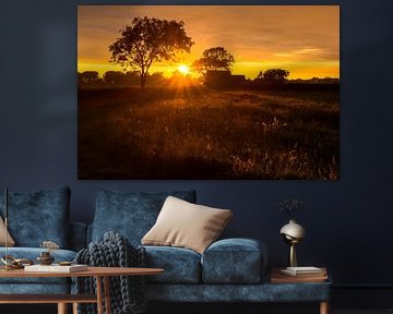 Sunset in Hillegom, Netherlands.