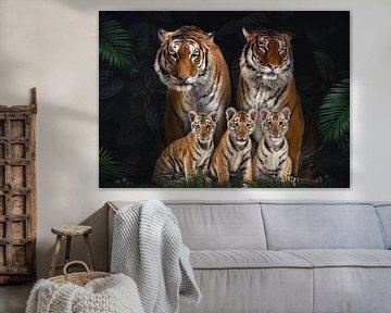 Famille de tigres avec 3 petits sur Bert Hooijer