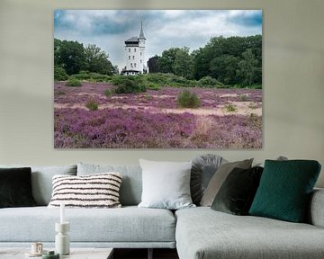 Sprengenberg am Sallandse Heuvelrug im Sommer mit Blüte von Sjoerd van der Wal Fotografie