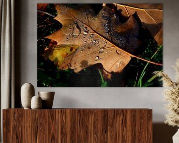 Braunes Herbstblatt mit Tropfen verziert